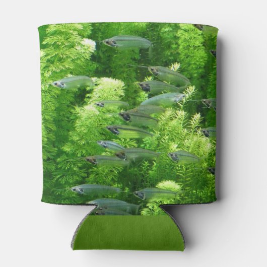 Shoal of Transparent Silver Fish Blikjeskoeler (Achterkant)