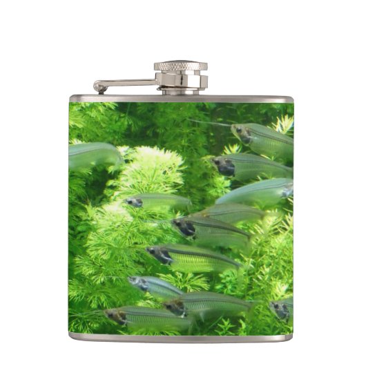 Shoal of Transparent Silver Fish Heupfles (Voorkant)