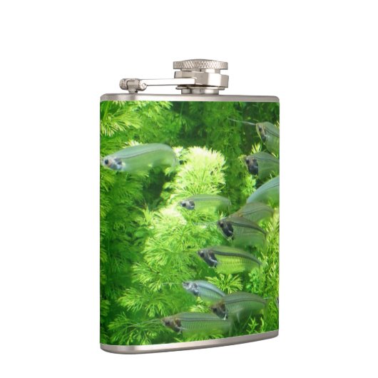 Shoal of Transparent Silver Fish Heupfles (Rechts)