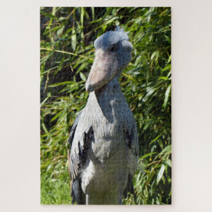 Shoebill (Balaeniceps rex) Legpuzzel