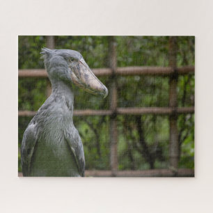 Shoebill (Balaeniceps rex) Legpuzzel