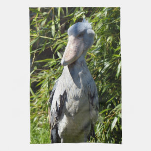 Shoebill (Balaeniceps rex) Theedoek