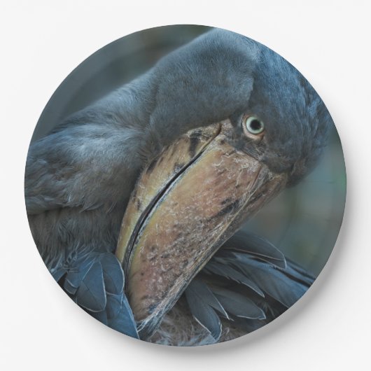 Shoebill Papieren Bordje (Voorkant)