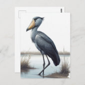 Shoebill Stork Briefkaart (Voorkant / Achterkant)