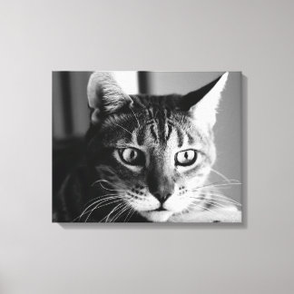Shogun Bengal Cat Canvas Afdruk