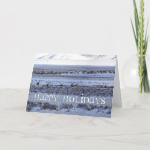 Shootin Feestdagen Kaart