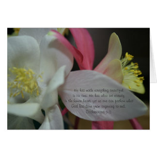 Shooting Star - Coumbine Bloom Ecclesiastes 3:11