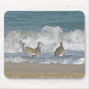 Shore Bird Trio Mousepad Muismat