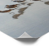 Shore Birds Poster (Hoek)