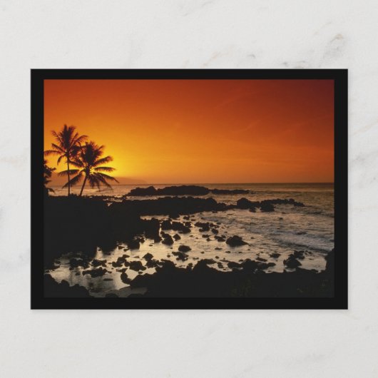 Shore Oahu Hawaii Briefkaart (Voorkant)