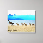 Shore Patrol - Canada Gese Canvas Afdruk (Voorkant)