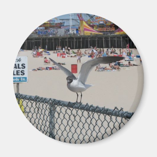 Shore Thing Magneet (Voorkant)