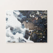 Shorebird van de verbluffende zwarte traansteen in legpuzzel (Horizontaal)