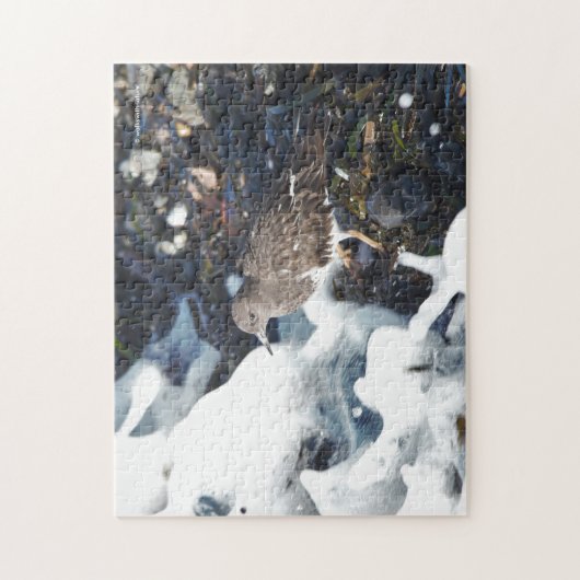 Shorebird van de verbluffende zwarte traansteen in legpuzzel (Verticaal)