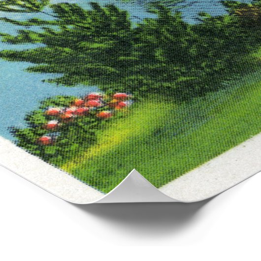 Shoreline Uitzicht van het meer van Pontoosuc Poster (Hoek)