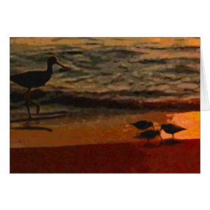 Shorevogels