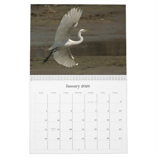 Shorevogels - 2010 kalender (Jan 2026)