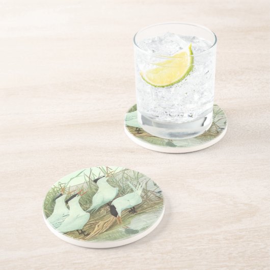 Shorevogels in Marsh door Louis Fuertes Zandsteen Onderzetter (Zijkant)