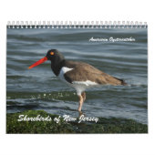 Shorevogels van New Jersey Kalender (Hoes)