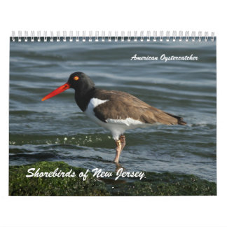 Shorevogels van New Jersey Kalender