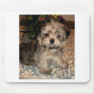 Shorkie Puppy Muismat