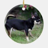 Short Hazard Chihuahua Standing Keramisch Ornament (Achterkant)