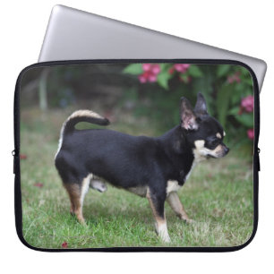 Short Hazard Chihuahua Standing Laptop Sleeve