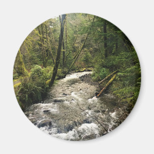 Short Sand Creek, Oswald West, Oregon Magneet