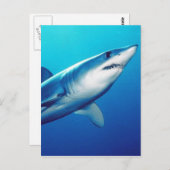 Shortfin Mako Shark Briefkaart (Voorkant / Achterkant)