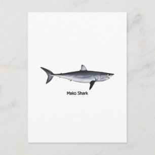 Shortfin Mako Shark Illustratie Briefkaart