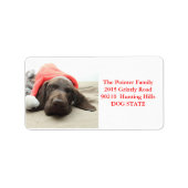 Shorthaired Pointer Holiday Adres Label (Voorkant)