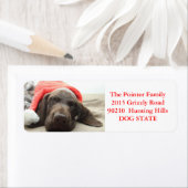 Shorthaired Pointer Holiday Adres Label (Insitu)