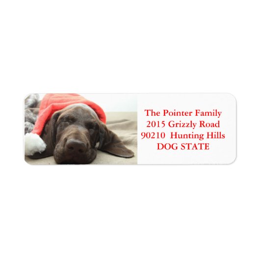 Shorthaired Pointer Holiday Adres Label (Voorkant)