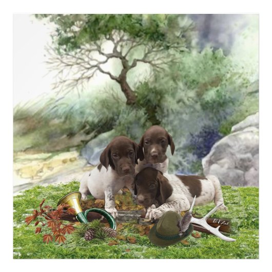 Shorthaired Pointer schattige puppies Foto Afdruk (Voorkant)