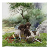Shorthaired Pointer schattige puppies Perfect Poster (Voorkant)