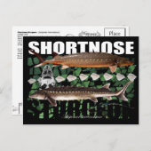 Shortnose Sturgeon Scutes Briefkaart (Voorkant / Achterkant)