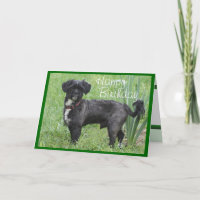 Shorty door Iris-customize om het even welke