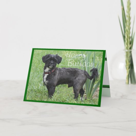 Shorty door Iris-customize om het even welke Kaart (Voorkant)