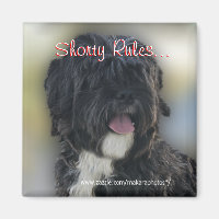 Shorty Lhasa Apso-Shih Tzu magneet-personaliseren