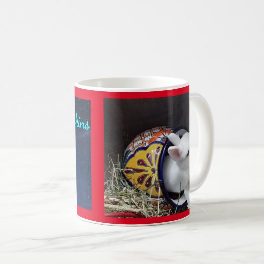 Shorty Rabbitskins Dwarf Hotot Specialty Mok (Voorkant rechts)