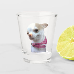 Shot Glass Chihuahua Dog Meme Glas