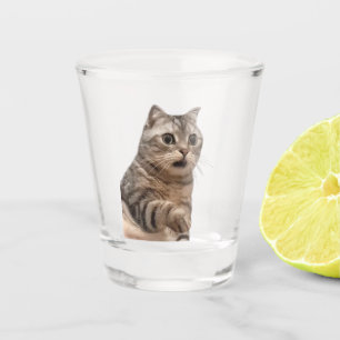 Shot Glass geschokt Cat Meme Glas