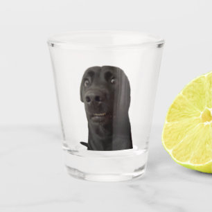 Shot Glass Scared Dog Meme Glas