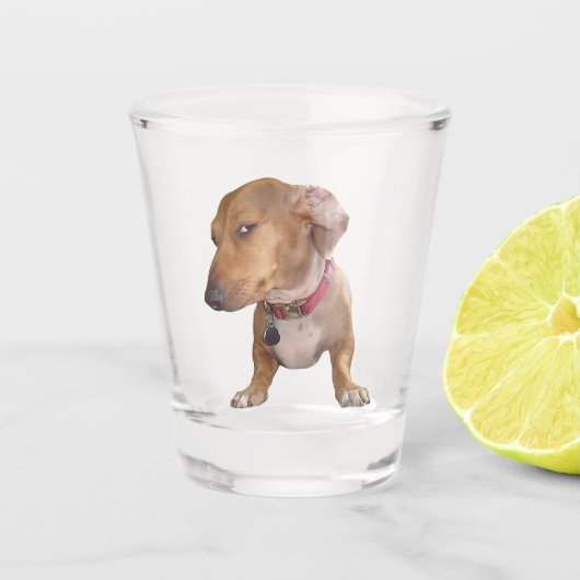 Shot Glass Side Eye Dog Meme Glas (Voorkant)