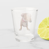 Shot Glass Side Eye Dog Meme Shot Glas (Achterkant)