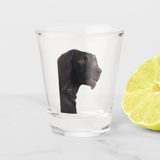 Shot Glass Verwarde Hond Meme Shot Glas (Voorkant)