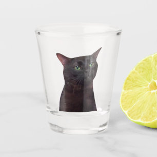 Shot Glass Zoned Out Cat Meme Glas