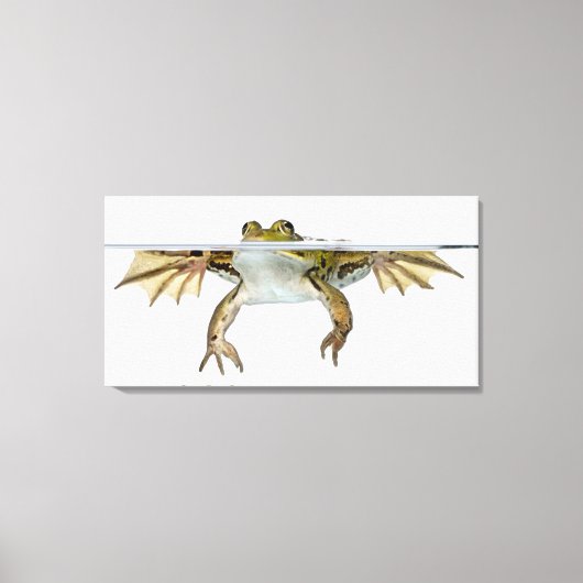 Shot of a Eetble frog surface voor a Canvas Afdruk (Voorkant)