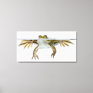 Shot of a Eetble frog surface voor a Canvas Afdruk