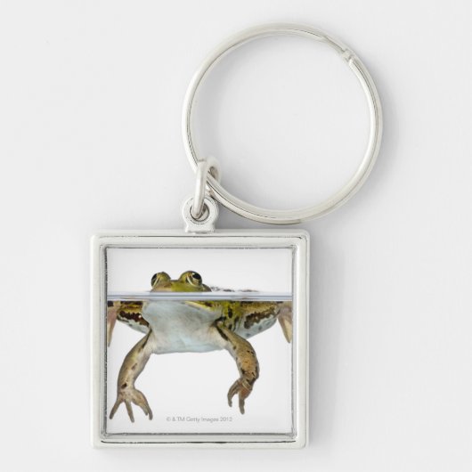 Shot of a Eetble frog surface voor a Sleutelhanger (Voorkant)